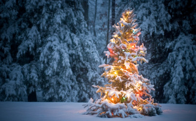 Keep Christmas well.