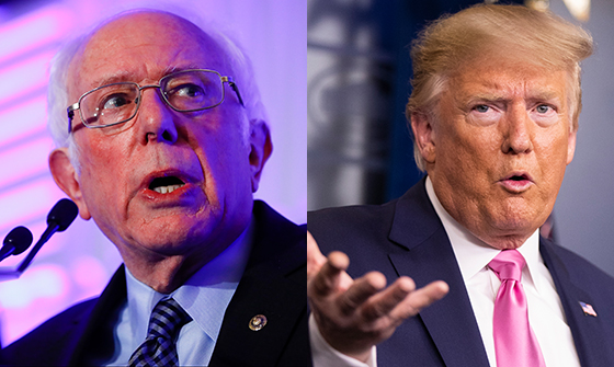 Trump, Sanders and the ruling class.
