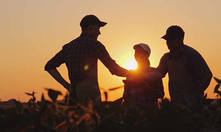 Socialism? Heartland folks will have their say.